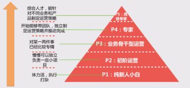 互联网运营知识扫盲 从零开始读懂网站运营